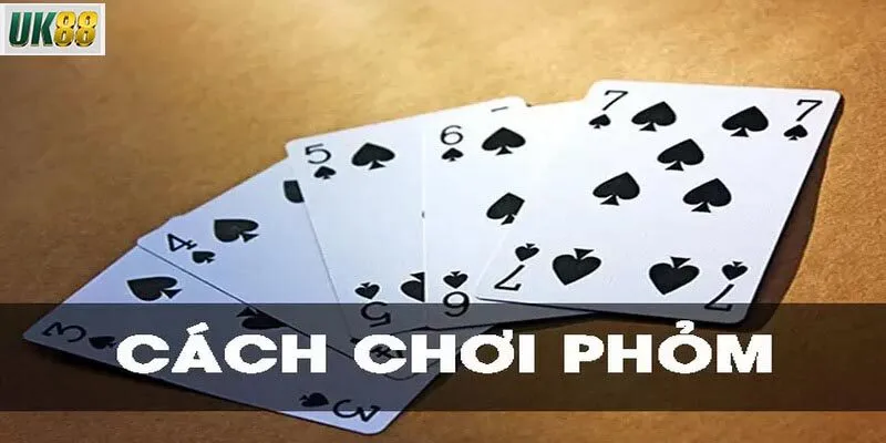 Những chiến lược để chơi phỏm 9 lá thành công của các cựu game thủ 