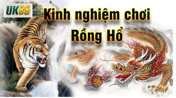 Mẹo và chiến thuật hay trong cách chơi bài Rồng Hổ